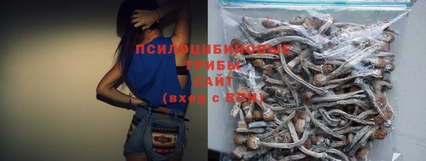 apvp Алексеевка