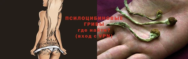 apvp Алексеевка