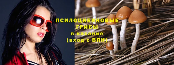 ECSTASY Алексин