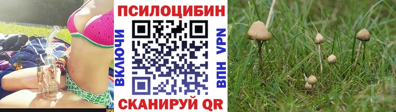 Галлюциногенные грибы GOLDEN TEACHER Березники